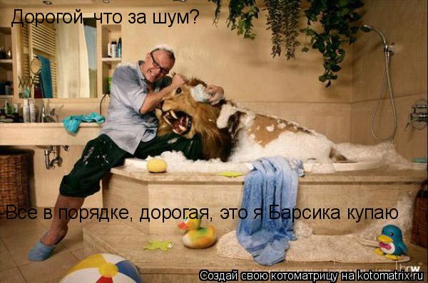 Дорогой, что за шум? Все в порядке, дорогая, это я Барсика купаю... Котоматрица: Дорогой, что за шум? Все в порядке, дорогая, это я Барсика купаю