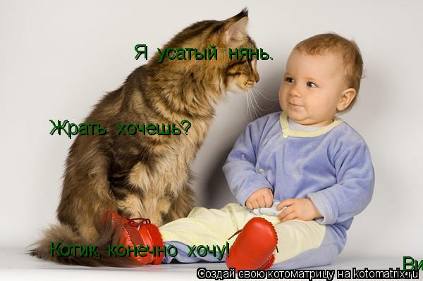 Я усатый нянь. Жрать хочешь? Котик, конечно хочу! Вискас кушай.... Котоматрица: Я усатый нянь. Жрать хочешь? Котик, конечно хочу! Вискас кушай.