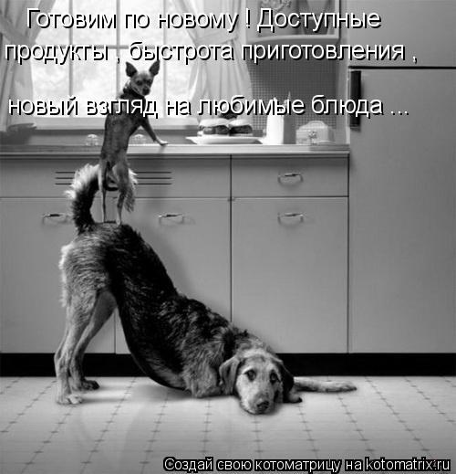 Готовим по новому ! Доступные продукты , быстрота приготовления , новый взгляд на любимые блюда ...... Котоматрица: Готовим по новому ! Доступные продукты , быстрота приготовления , новый взгляд на любимые блюда ...