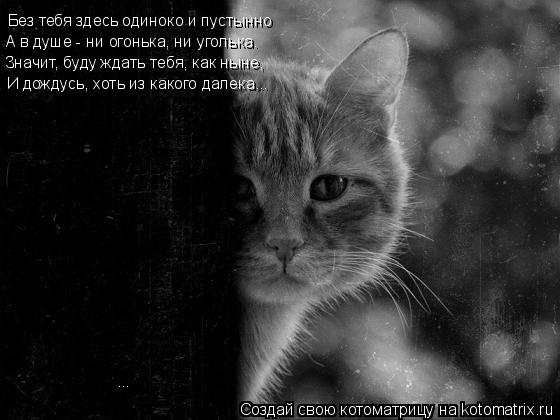 Без тебя здесь одиноко и пустынно А в душе - ни огонька, ни уголька. Значит, буду ждать тебя, как нын... Котоматрица: Без тебя здесь одиноко и пустынно А в душе - ни огонька, ни уголька. Значит, буду ждать тебя, как ныне, И дождусь, хоть из какого далека... ...