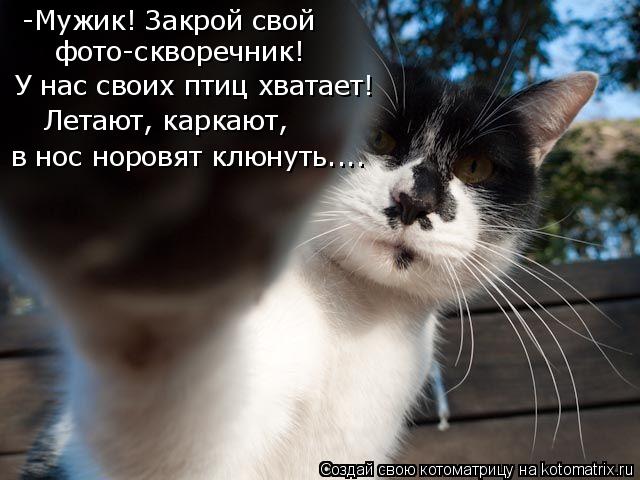 Котоматрица: -Мужик! Закрой свой   фото-скворечник! У нас своих птиц хватает! Летают, каркают, в нос норовят клюнуть....