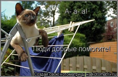 Котоматрица: А- а- а! Люди добрые помогите!