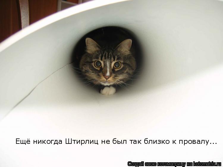 Котоматрица: Ещё никогда Штирлиц не был так близко к провалу...