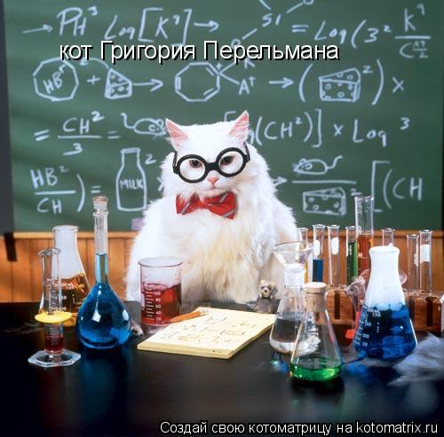 Котоматрица: кот Григория Перельмана