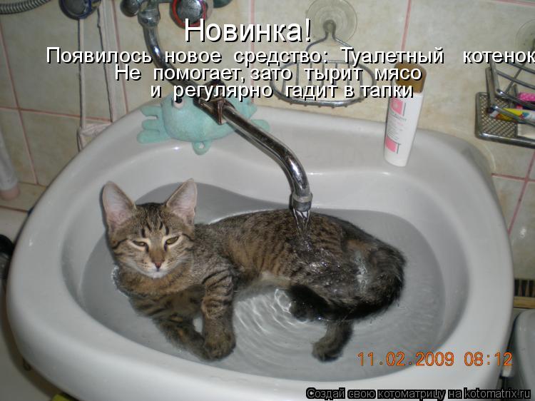 Котоматрица: Новинка! Появилось  новое  средство:  Туалетный   котенок! Не  помогает, зато  тырит  мясо   и  регулярно  гадит в тапки