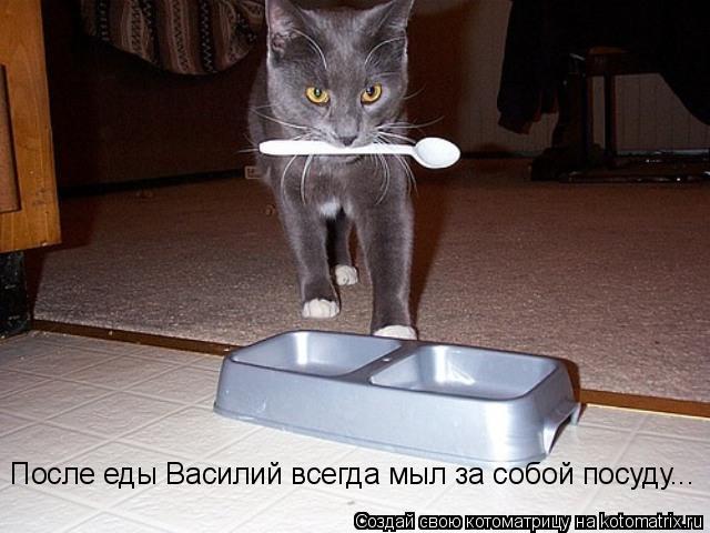 Котоматрица: После еды Василий всегда мыл за собой посуду...