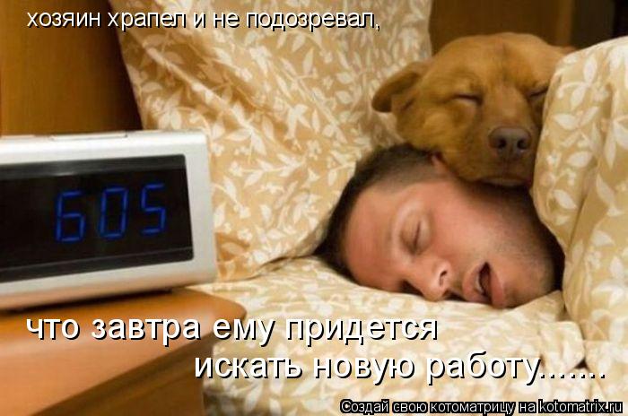 Котоматрица: хозяин храпел и не подозревал, искать новую работу....... что завтра ему придется