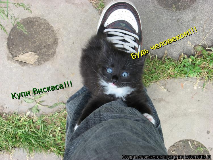 Котоматрица: Будь человеком!!! Купи Вискаса!!!