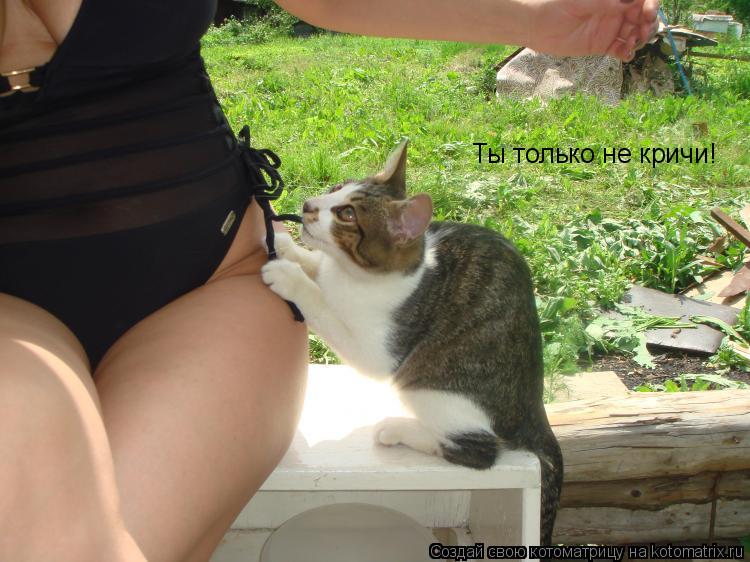 Котоматрица: Ты только не кричи!