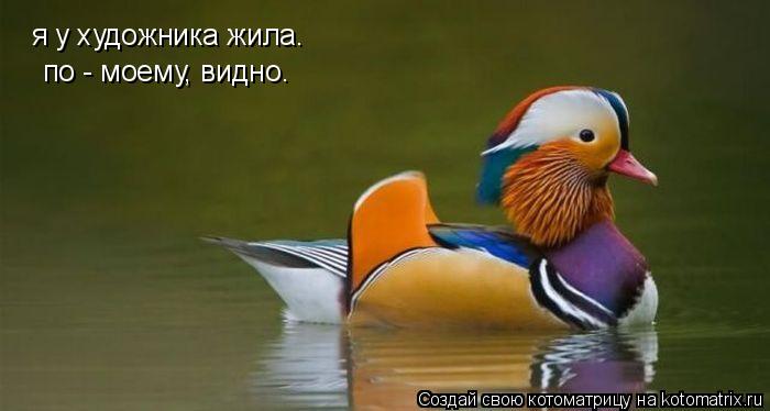 Котоматрица: я у художника жила. по - моему, видно.