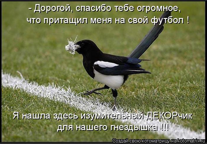 Котоматрица: - Дорогой, спасибо тебе огромное, что притащил меня на свой футбол ! Я нашла здесь изумительный ДЕКОРчик для нашего гнездышка !!!