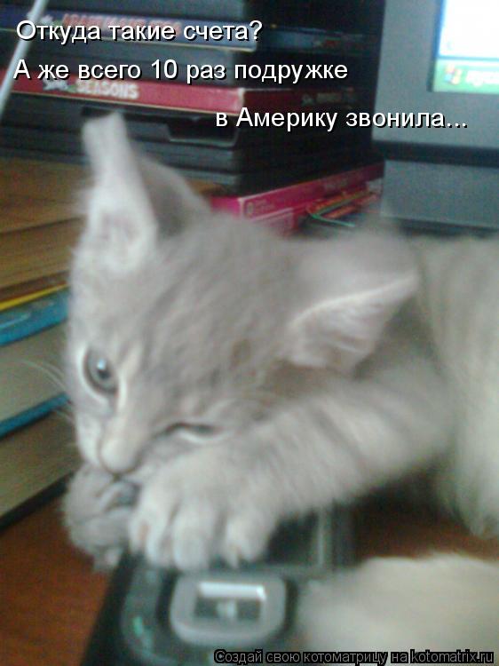 Котоматрица: Откуда такие счета? А же всего 10 раз подружке в Америку звонила...