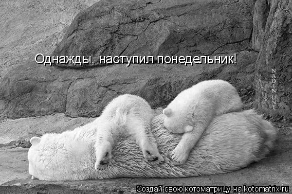 Котоматрица: Однажды, наступил понедельник!