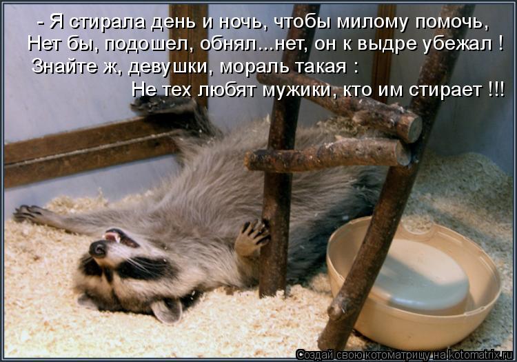 Котоматрица: - Я стирала день и ночь, чтобы милому помочь, Нет бы, подошел, обнял...нет, он к выдре убежал ! Знайте ж, девушки, мораль такая : Не тех любят мужи