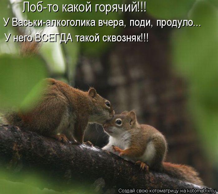 Котоматрица: Лоб-то какой горячий!!! У Васьки-алкоголика вчера, поди, продуло... У него ВСЕГДА такой сквозняк!!!
