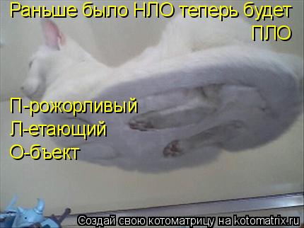 Котоматрица: Раньше было НЛО теперь будет  ПЛО П-рожорливый Л-етающий О-бъект
