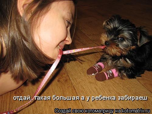 Котоматрица: отдай, такая большая а у ребенка забираеш