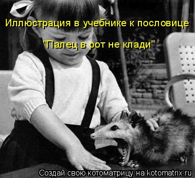 Котоматрица: Иллюстрация в учебнике к пословице "Палец в рот не клади"