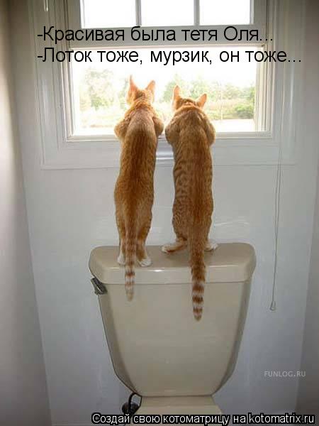 Котоматрица: -Красивая была тетя Оля... -Лоток тоже, мурзик, он тоже...