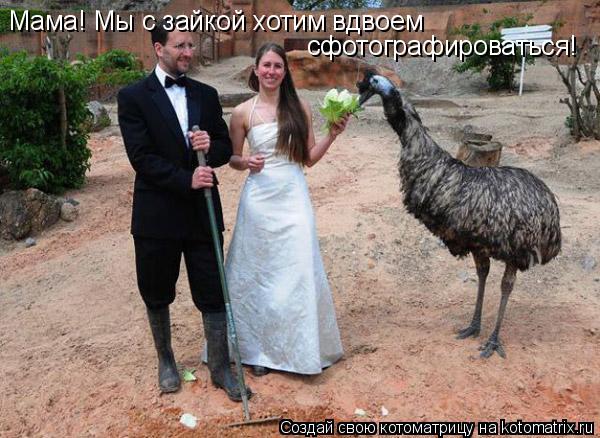 Котоматрица: Мама! Мы с зайкой хотим вдвоем  сфотографироваться!