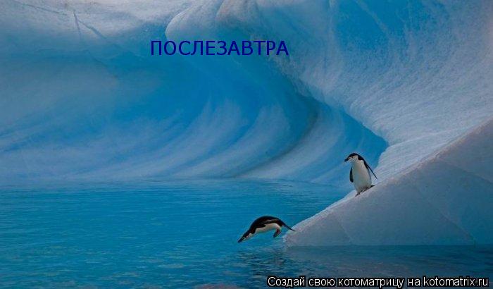 Котоматрица: ПОСЛЕЗАВТРА