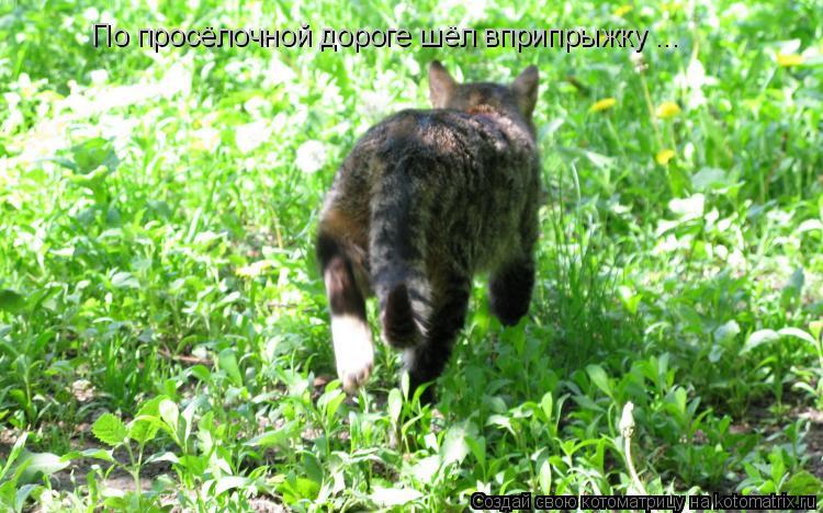 Котоматрица: По просёлочной дороге шёл вприпрыжку ...