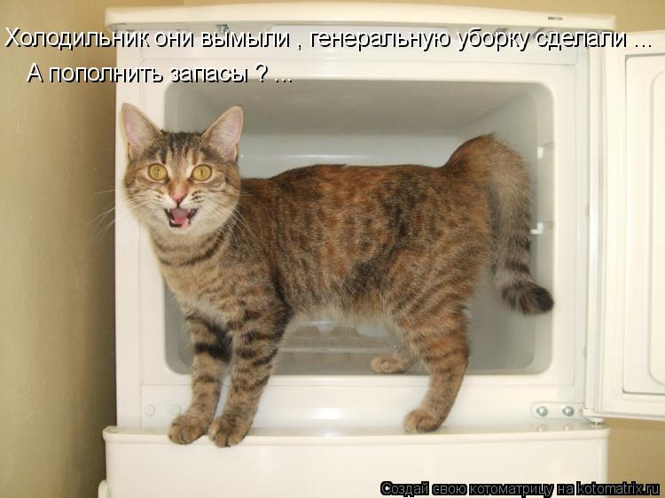 Котоматрица: Холодильник они вымыли , генеральную уборку сделали ... А пополнить запасы ? ...