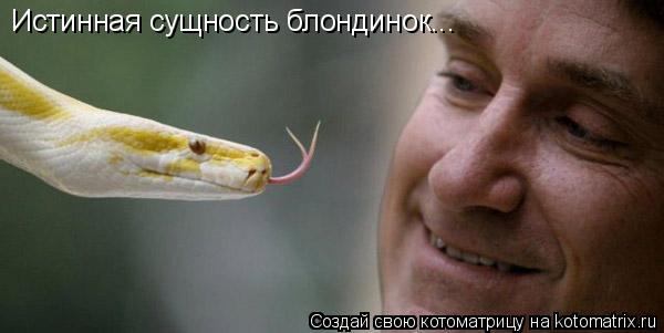 Котоматрица: Истинная сущность блондинок...