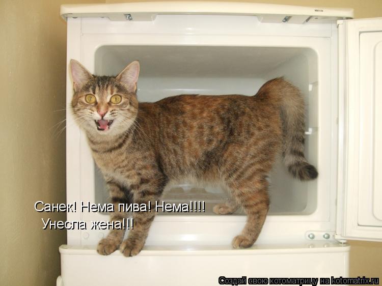 Котоматрица: Санек! Нема пива! Нема!!!! Унесла жена!!!