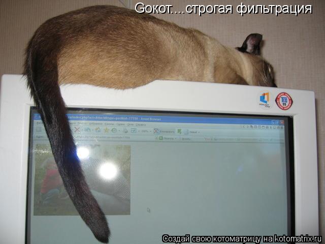 Котоматрица: Goкот....строгая фильтрация