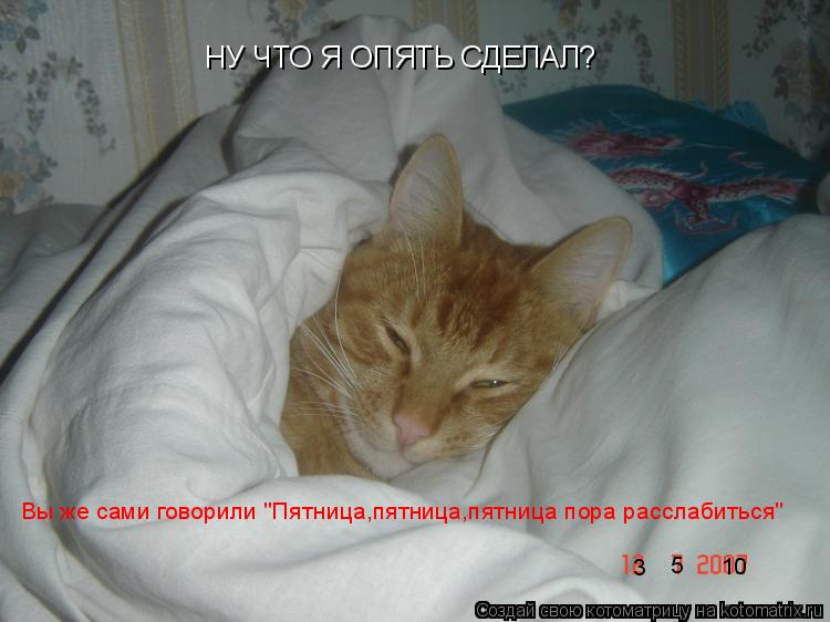 Котоматрица: НУ ЧТО Я ОПЯТЬ СДЕЛАЛ? Вы же сами говорили "Пятница,пятница,пятница пора расслабиться" 3 5 10