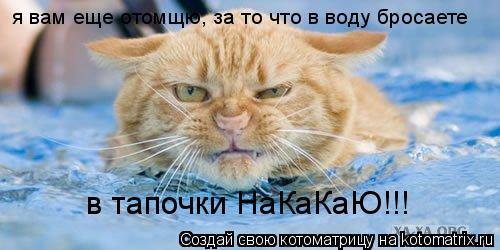 Котоматрица: я вам еще отомщю, за то что в воду бросаете в тапочки НаКаКаЮ!!!