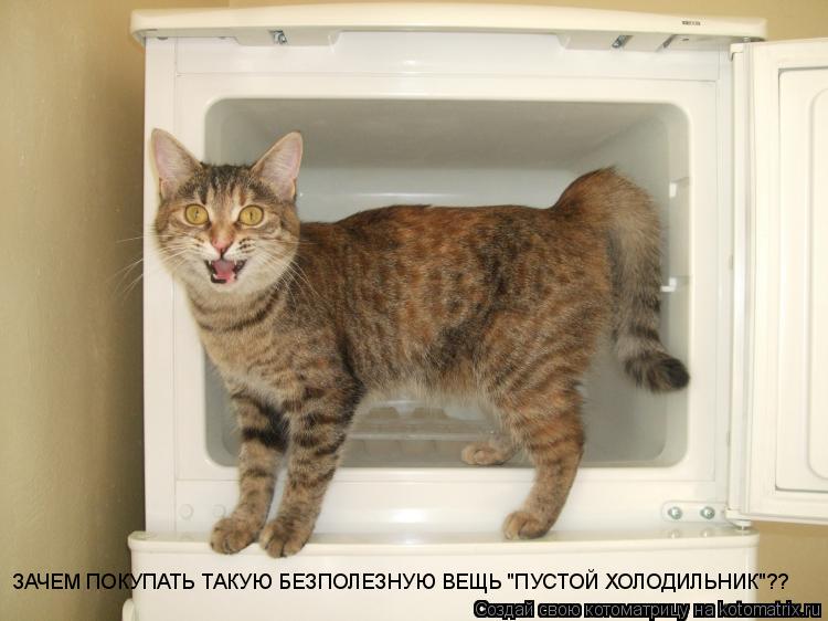 Котоматрица: ЗАЧЕМ ПОКУПАТЬ ТАКУЮ БЕЗПОЛЕЗНУЮ ВЕЩЬ "ПУСТОЙ ХОЛОДИЛЬНИК"??