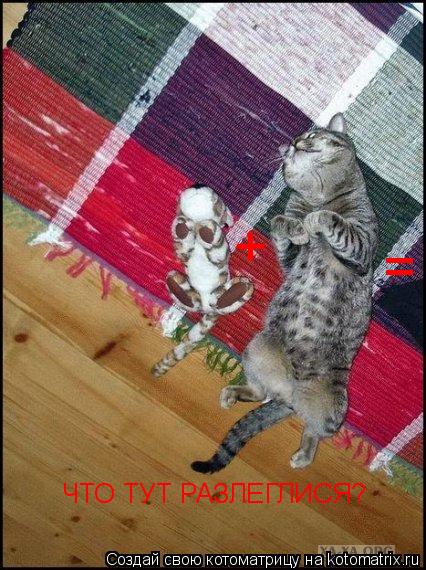 Котоматрица: + = ЧТО ТУТ РАЗЛЕГЛИСЯ?