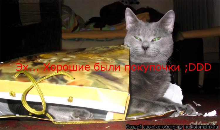 Котоматрица: Эх... Хорошие были покупочки ;DDD