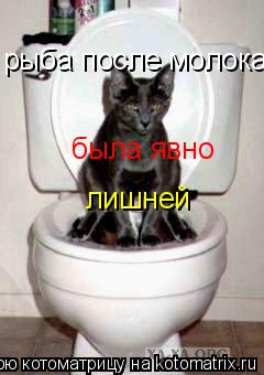 Котоматрица: рыба после молока была явно лишней была явно лишней