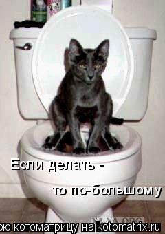 Если делать - то по-большому... Котоматрица: Если делать - то по-большому