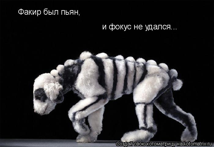 Котоматрица: Факир был пьян, и фокус не удался...