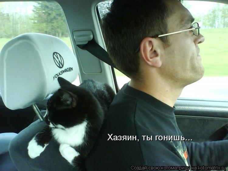 Котоматрица: Хазяин, ты гонишь...