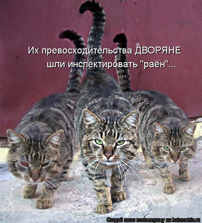 Котоматрица: Их превосходительства ДВОРЯНЕ шли инспектировать "раён"...