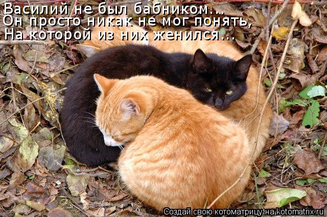 Котоматрица: Василий не был бабником... На которой из них женился... Он просто никак не мог понять,