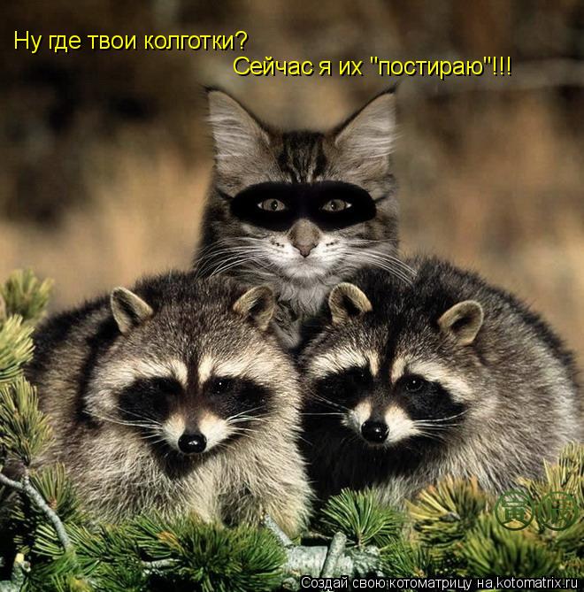 Котоматрица: Ну где твои колготки? Сейчас я их "постираю"!!!