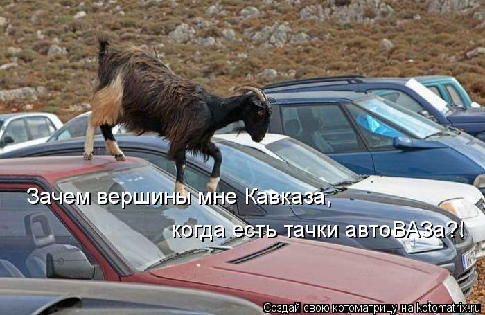 Зачем вершины мне Кавказа, когда есть тачки автоВАЗа?!... Котоматрица: Зачем вершины мне Кавказа, когда есть тачки автоВАЗа?!