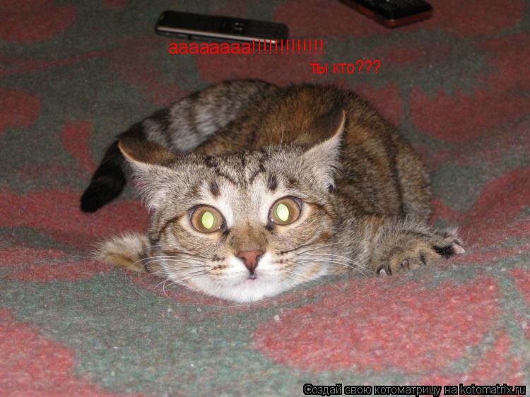 аааааааа!!!!!!!!!!!!! ты кто???... Котоматрица: аааааааа!!!!!!!!!!!!! ты кто???