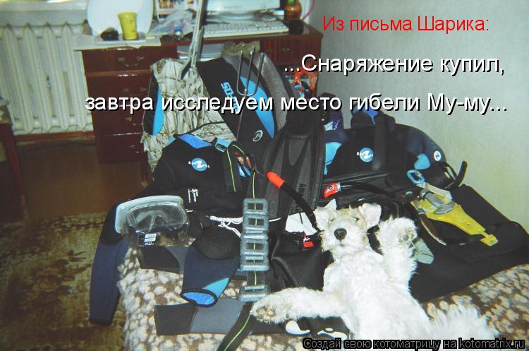 Из письма Шарика: ...Снаряжение купил, завтра исследуем место гибели Му-му...... Котоматрица: Из письма Шарика: ...Снаряжение купил, завтра исследуем место гибели Му-му...