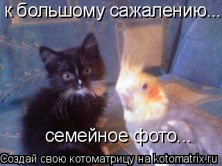 к большому сажалению... семейное фото...... Котоматрица: к большому сажалению... семейное фото...