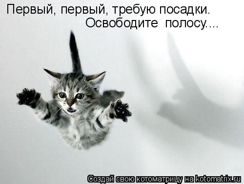 Первый, первый, требую посадки. Освободите полосу....... Котоматрица: Первый, первый, требую посадки. Освободите полосу....