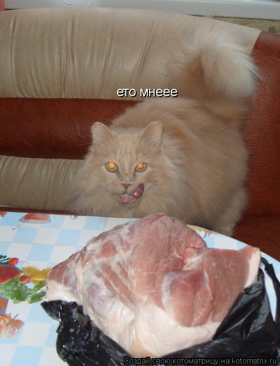 ето мнеее... Котоматрица: ето мнеее