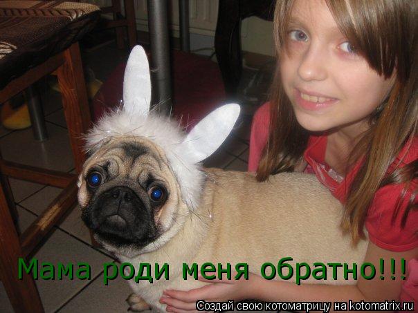 Мама роди меня обратно!!!... Котоматрица: Мама роди меня обратно!!!