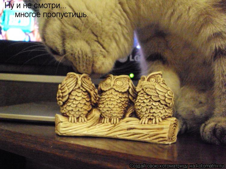 Ну и не смотри... многое пропустишь.... Котоматрица: Ну и не смотри... многое пропустишь.